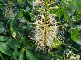 Waverly Farm | Catalog